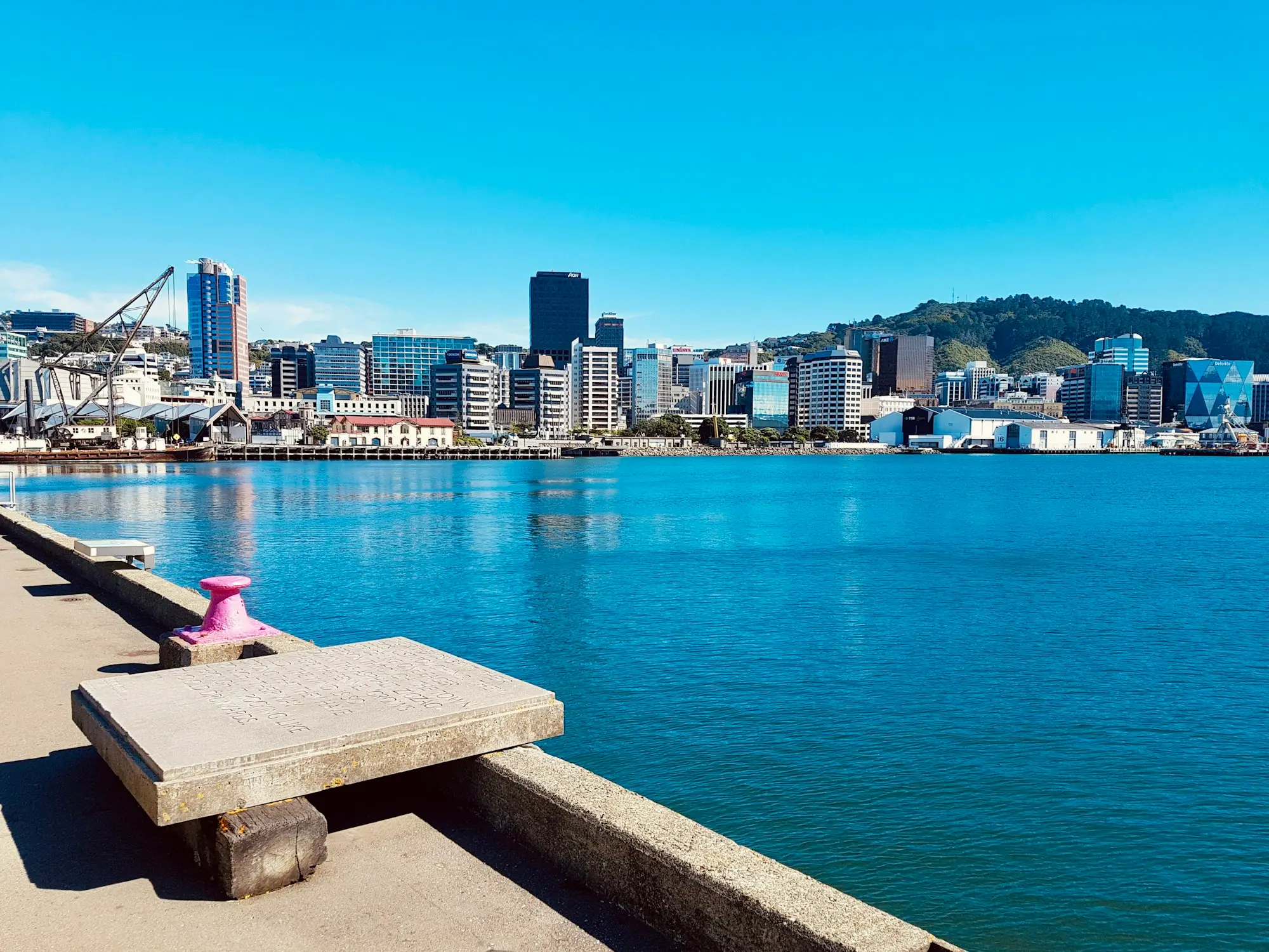 Business owner working on a laptop at the Wellington waterfront with Oriental Bay behind