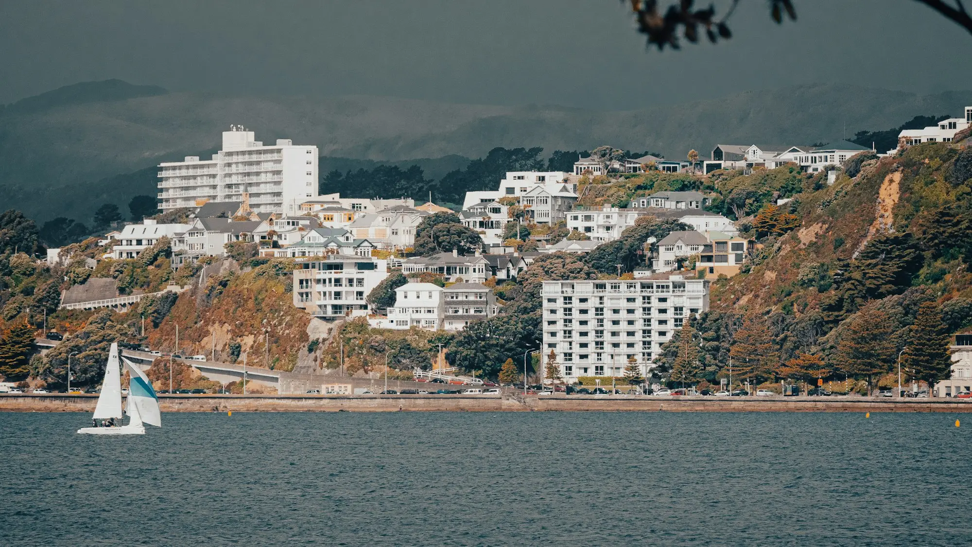 Hillside homes above Oriental Bay in Wellington with a sailboat on the harbour, the kind of property owners borrow against